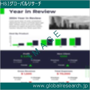 グローバルリサーチ調査レポートのイメージ